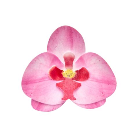 Ostyavirág ˝Orchidea˝ - rózsaszín