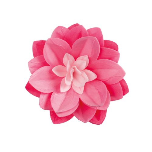 Ostyavirág - Tündérrózsa - Rózsaszín