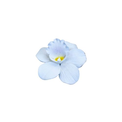 Cukorvirág - Orchidea  - Fehér