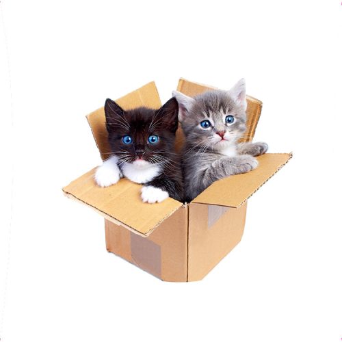 Díszített ostyalap - A1