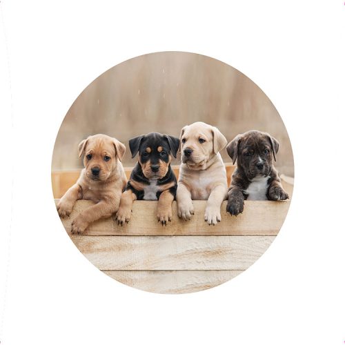 Díszített ostyalap - A2