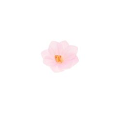 Ostyavirág - Mini Hortenzia - Pink