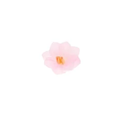 Ostyavirág - Mini Hortenzia - Pink