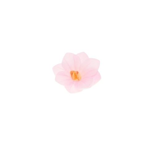 Ostyavirág - Mini Hortenzia - Pink