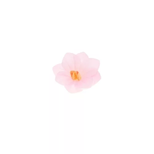 Ostyavirág - Mini Hortenzia - Pink